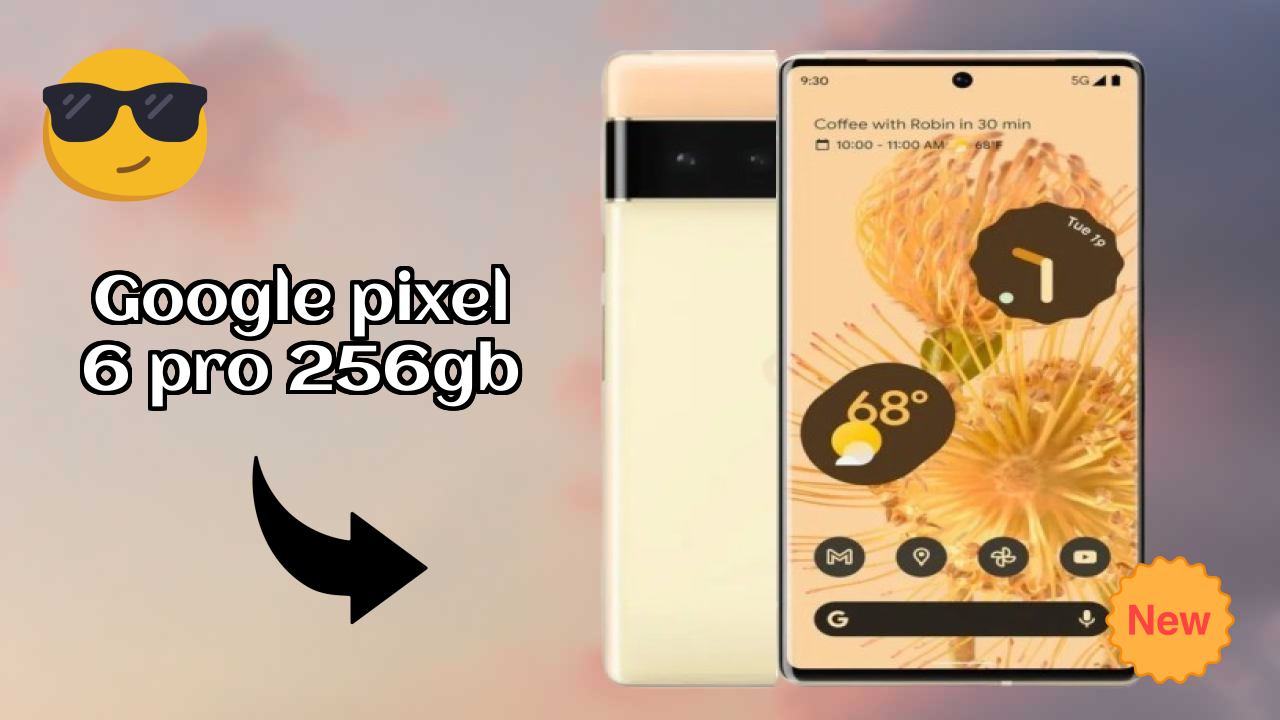 Google Pixel 6 Pro 256GB Camera Samples: 50 MP + 12 MP + 48 MP Rear Camera Real Photos